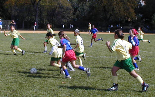 crop1.jpg (51312 bytes)